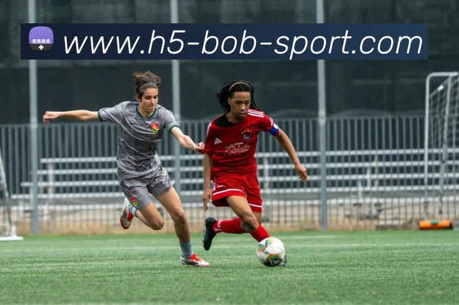 App Interface Preview